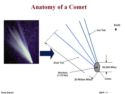 Anatomy of a Comet