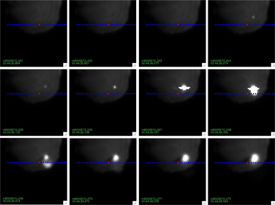 Spectrometer Slit Position